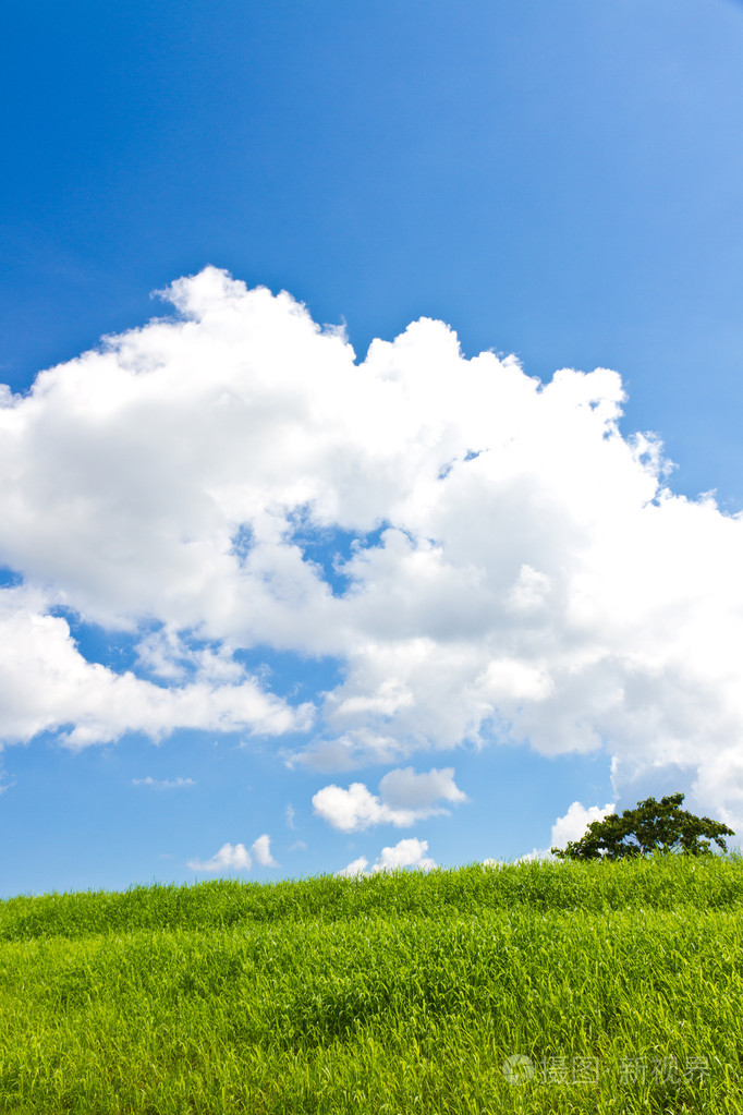 天空和草地