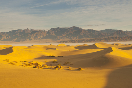 沙漠砂