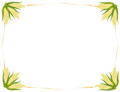 光的新鲜甜耳朵黄的玉米背景照片