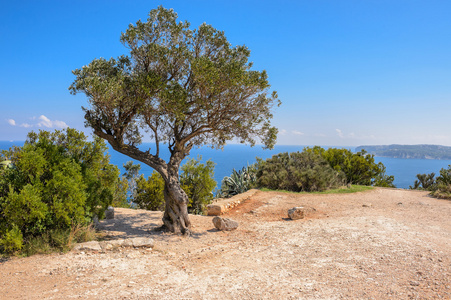 阿利坎特 javea 海景海滩城市景观