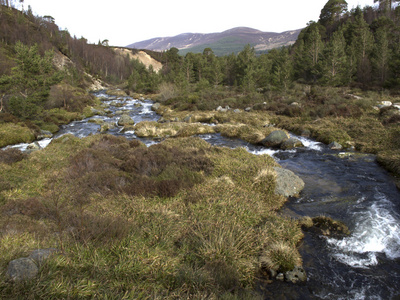 allt 铁道部河，凯恩山