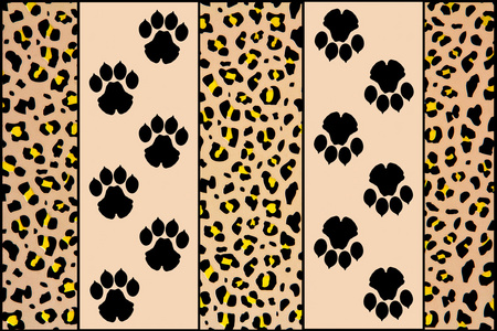 豹子脚豹子的脚印照片