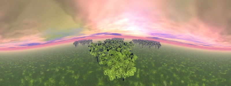 森林3d 渲染