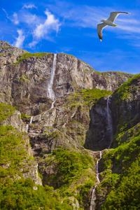 峡湾 sognefjord挪威的瀑布