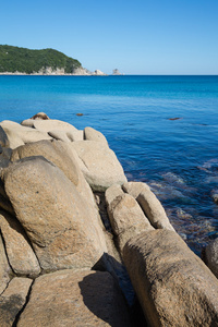 美丽的夏天的海洋海岸景观