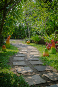 在草坪上装饰照片