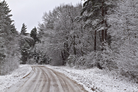 一条路在冬天的第一场雪的木材
