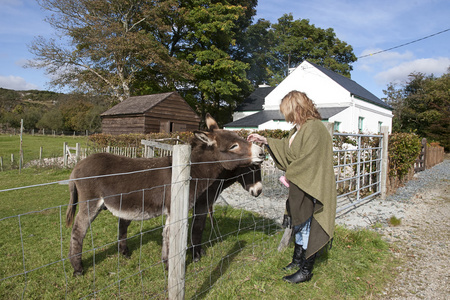 女性旅游饲养驴一农场