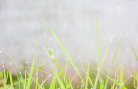 雨滴