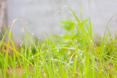 雨滴