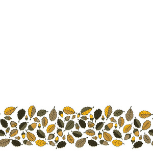 凌乱棕色黄色橡树叶和橡子在白色背景美丽植物无缝底部水平边框