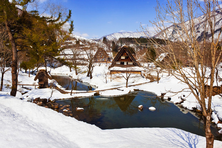 小沼泽包围着雪在白川乡町村图片