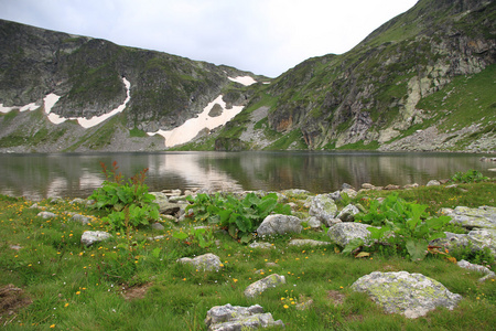 高山