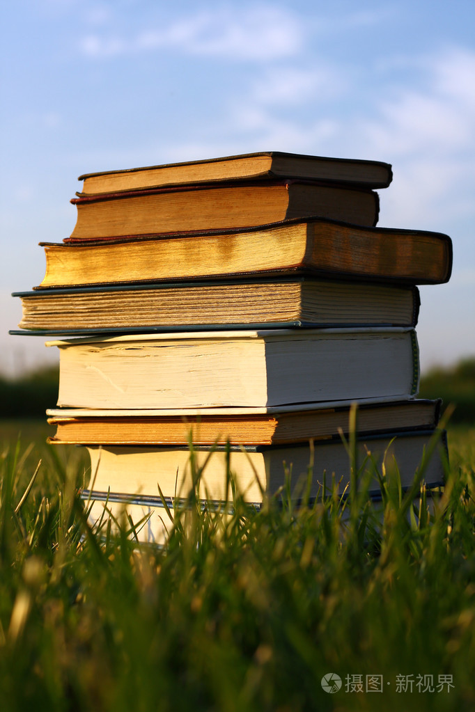 草丛中堆积的老书照片-正版商用图片1d7hl4-摄图新视界