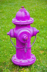 一个明亮的粉红色消防栓照片