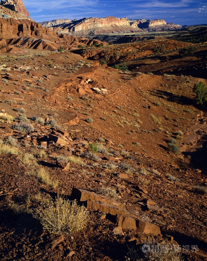 水波褶皱国会礁国家公园的贫瘠风景