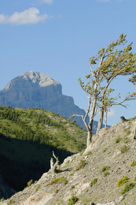 山景