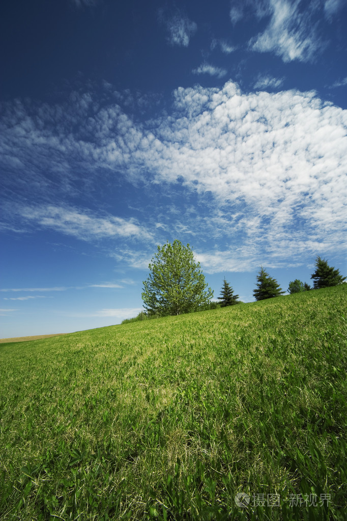 广阔的风景