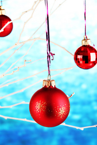 圣诞玩具上的树枝上挂着蓝色的背景