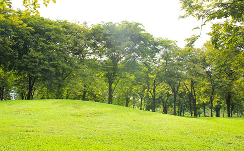 绿色城市公园