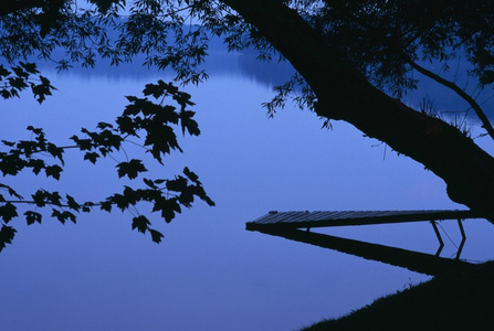湖泊和黄昏的树图片