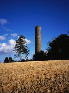 多纳赫莫尔圆塔 纳文 co meath 爱尔兰