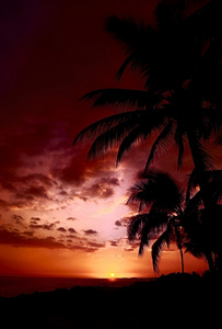 夏威夷日落