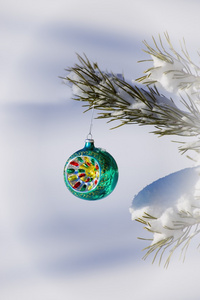 圣诞节装饰品挂在一棵树