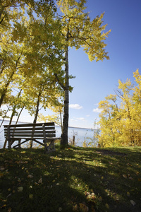 公园的长椅上，旁边一个湖在秋天