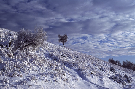 德比郡，英格兰，联合王国。雪覆盖的山坡上