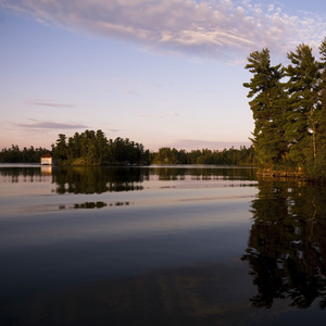 湖的树林，安大略省，加拿大