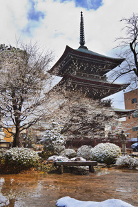 飞驒国分寺寺塔