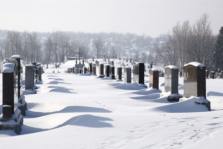 在冬天的墓地