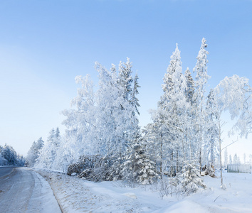 俄罗斯冬季森林雪路