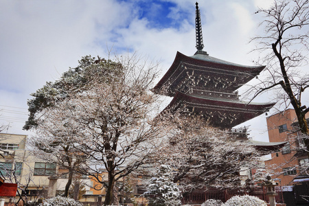 在高山市的飞驒国分寺寺