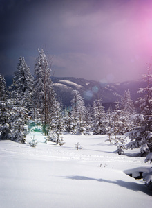 山风景