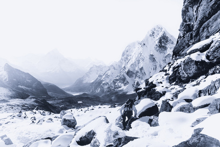 在喜马拉雅山中在拂晓时传递的登山者和祖拉