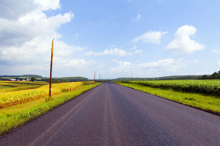 乡村道路