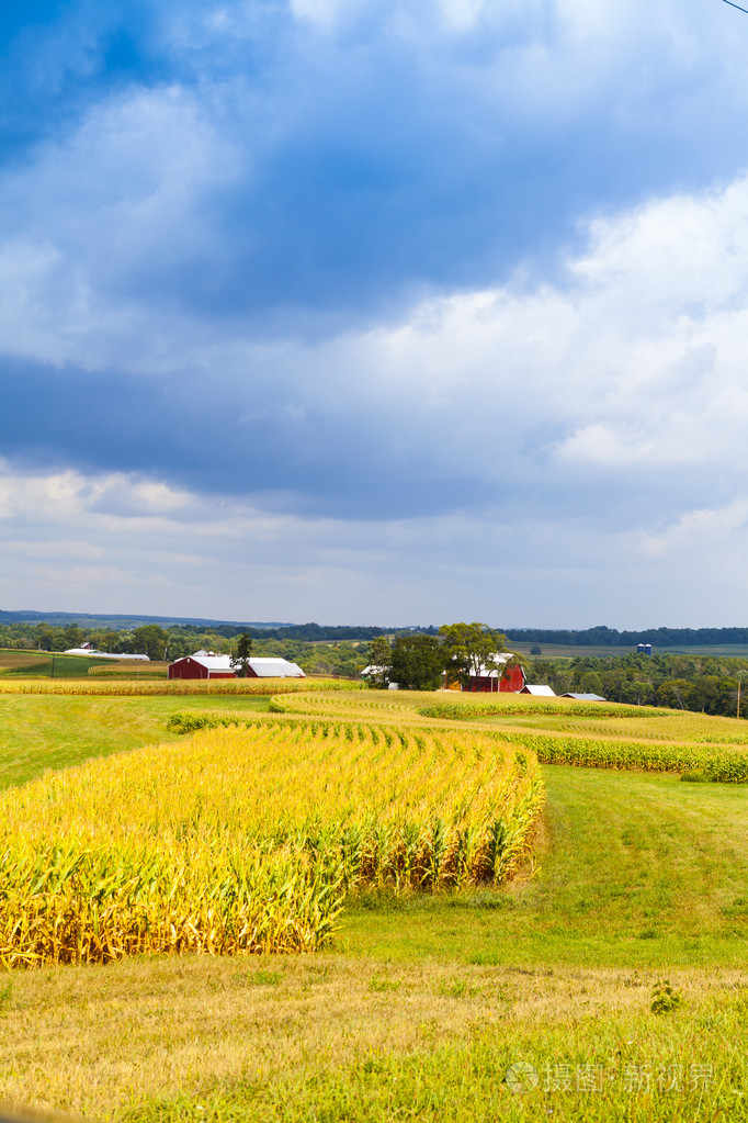 美国农村玉米田与风雨如磐的天空