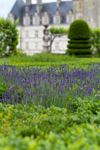 花园和在法国卢瓦尔河谷城堡 de villandry