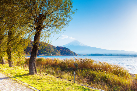 富士山和湖