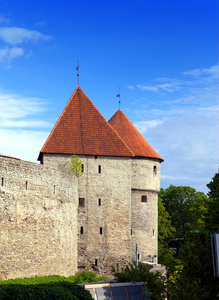 中世纪塔城墙的一部分。塔林爱沙尼亚