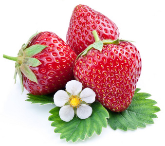 草莓叶上白色隔离