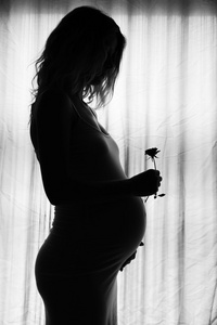 一名孕妇在白色背景上的剪影