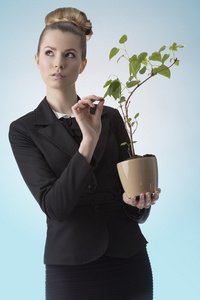 成功的职业生涯女孩与钱植物