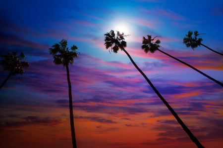 加州棕榈树夕阳与色彩斑斓的天空