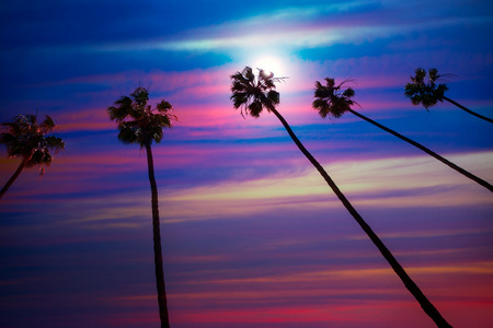 加州棕榈树夕阳与色彩斑斓的天空