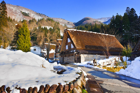 在白川乡町村别墅图片