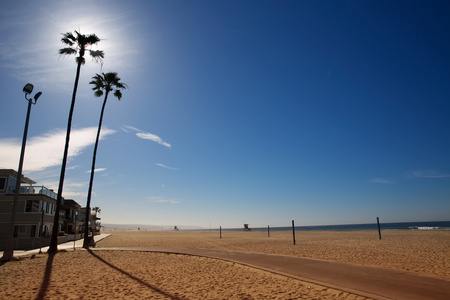 加利福尼亚州纽波特海滩与高的棕榈树