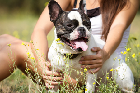 与他的女主人健康年轻斗牛犬